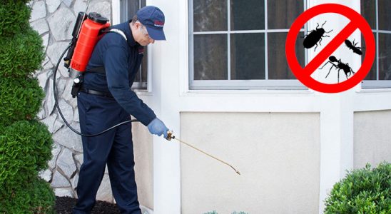Karahallı Dezenfeksiyon böcek ilaçlama ve haşere kontrolü — ilaclama-tr.com